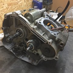 BetaRR125 031